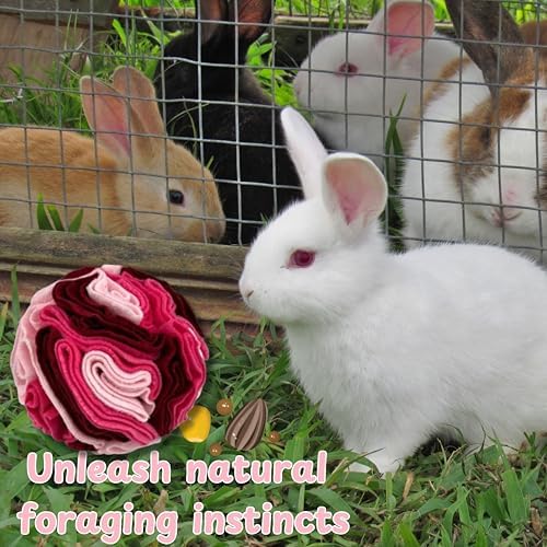 Rabbit Treat Ball Interactive Foraging Toys for Small Pet, Interactive Balls for Rabbits Guinea Pig Hedgehog Chinchilla Ferret Hamster Bunny, Rabbit Enrichment Toy, Rabbits Accessories (Romantic Pink)