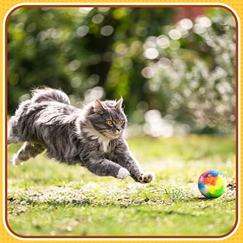 Deekin 20 Pcs Cat Ball Toy 1.6 Inch Fuzzy Pom Pom Balls for Kittens Cats