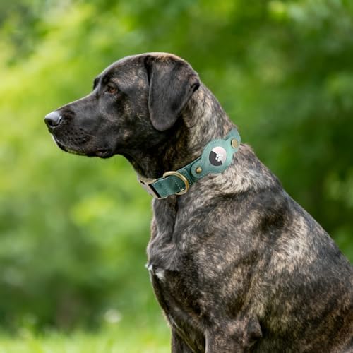 Airtag Dog Collar, PU Leather Collar w Airtag Holder for Large Dogs(Green)