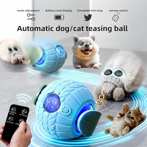Nicbeypole Intelligent pet Toy Ball, Used for Interactive Chasing of Cats or Dogs, with Battery Display on the Screen, can be remotely Turned Off, Equipped with Bird Songs, self Entertainment (Blue)