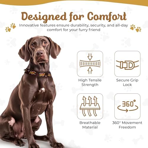 Tooth & Honey Martingale Dog Collar, 1.5-Inch Wide Daisy Print Design