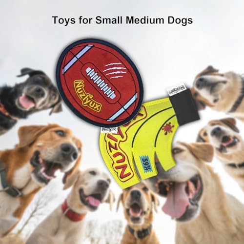Squeaky Flying Discs for Small Med Dogs 2-Pack Fetch Gear