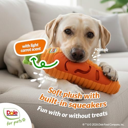 Dog Puzzle Toy with Squeaker, Carrot Snuffle Dog Treat Toy for Small and Medium Dogs, Dog Enrichment Toys
