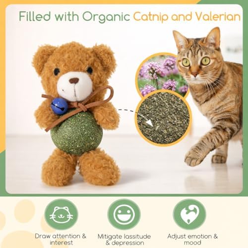 Cat Toys with Catnip Kitten Chew Bite Supplies Boredom Relief Fluffy Kitty Teeth Cleaning Chewing Cat Lovers Interactive Plush Gift (New Bear)