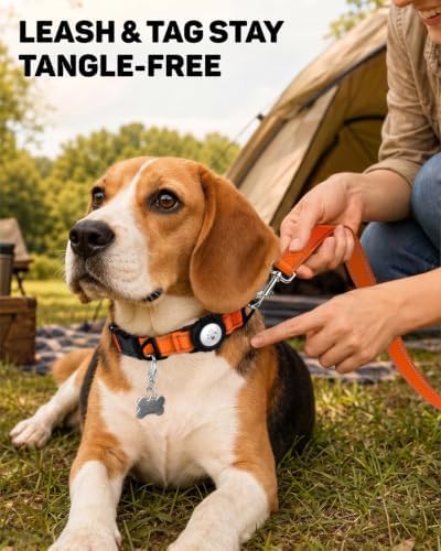 Padded Dog Collar with Waterproof Holder Compatible with Airtag