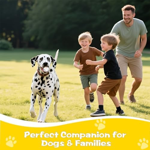 Dog Ball, 2.5 inch Dog Toy for Aggressive Chewers,ETPU Material Durable Ball for Launcher,Indestructible Bouncy Floating Balls for Dogs