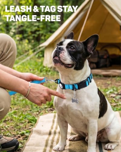 Padded Dog Collar with Waterproof Holder Compatible with Airtag