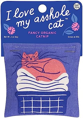 Blue Q Catnip - Cute Cat Toys for Biting w/Funny Graphics - I Love My Cat