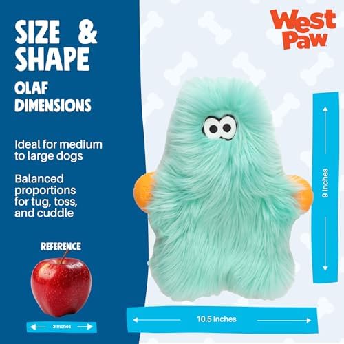 WEST PAW Rowdies Olaf Durable Plush Dog Toy with Reinforced HardyTex Fabric Hand Sewn Seams and Engaging Squeaker for Chewers and Cuddlers - Seafoam
