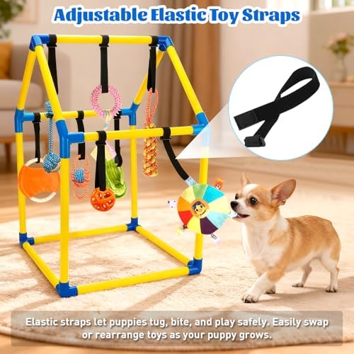 Puppy Play Gym with 9 Hanging Toys, Interactive Dog Enrichment Playground, Removable Indoor Training Activity Center for Puppies & Small Dogs, Adjustable PVC Frame, Teething & Squeaky Toys Included