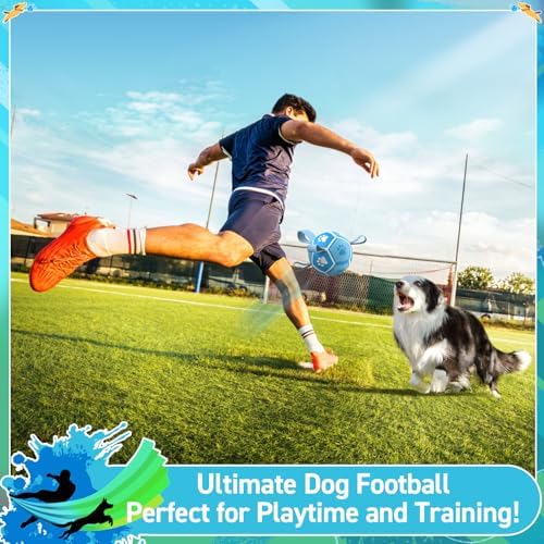 QDAN Small Dog Balls, 5 Inch Dog Soccer Ball with Straps, Outdoor Dog Toys, Pet Training Soccer for Small Medium (5 Inch)