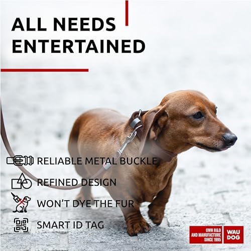 WAUDOG Genuine Leather Dog Collar Adjustable Large Medium Small QR Code Tag