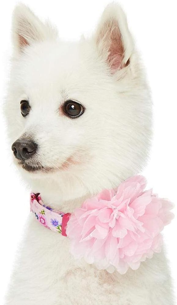 Blueberry Pet Floral Power Cosmos Designer Pink Adjustable Dog Collar with Detachable Pink Peony, Large, Neck 18"-26"
