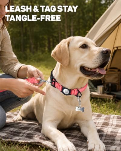 Padded Dog Collar with Waterproof Holder Compatible with Airtag