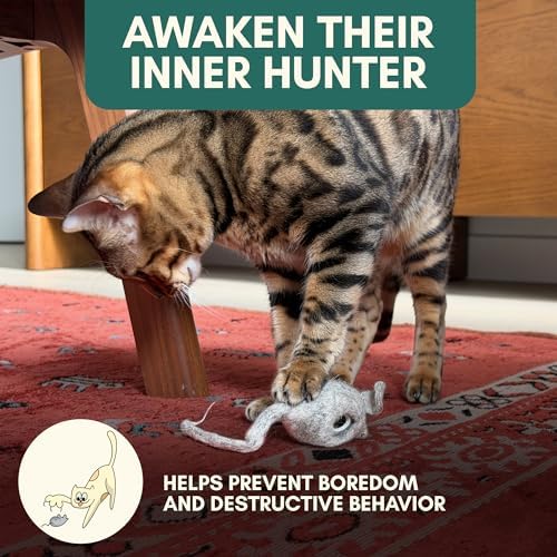 Hunties™ Cat Treat Puzzle Dispenser Toy with 3 Wool Mice