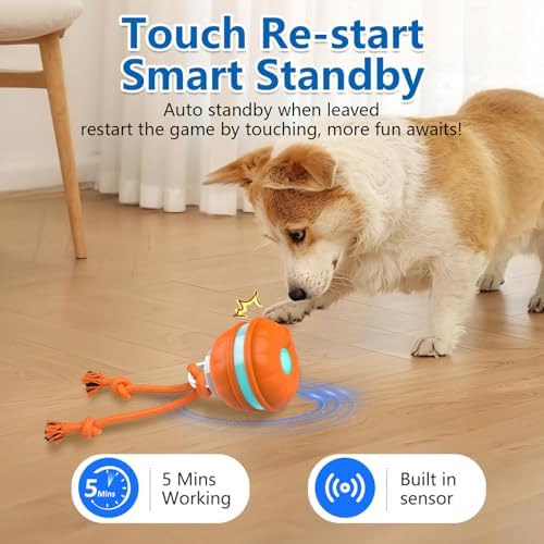 Muhhiba Interactive Dog Toys, Automatic Rolling Ball for Puppy/Small Dogs, Squeak Dog Toy, Touch Activated, USB Rechargeable