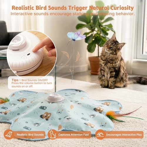 Interactive Cat Toys, Automatic Hide and Seek Feather Toy for Indoor Cats