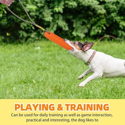 PUPTECK Interactive Dog Pool Toys Water Floating Toys Fetch Training Bumpers 2 Pack, Yellow & Orange