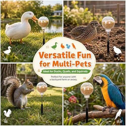 2 Pack Chicken Pecking Toys, Transparent Slow Feed Enrichment Toy, Chicken Swing Feeder with Spring & Ground Stake, Coop Accessories for Hens Poultry Duck Birds Parrots
