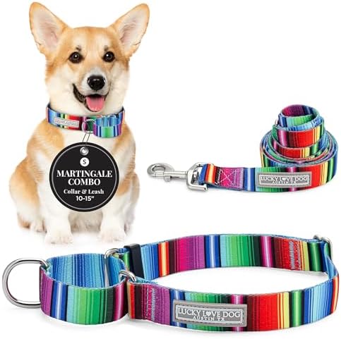 Lucky Love Dog Martingale Collar & Leash Set Cute – Nacho Color and, Small