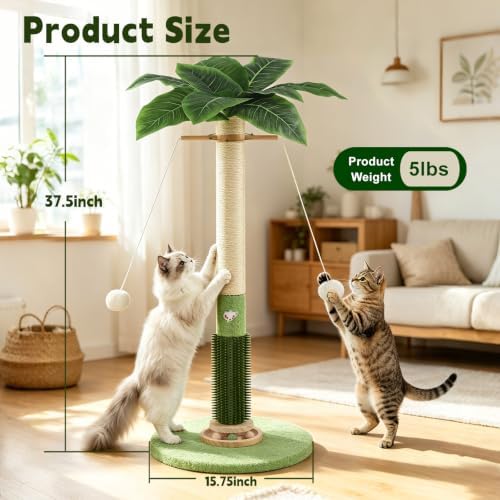 Cat Scratching Post,37.5'' Tall Palm Tree Sisal Scratcher for Indoor Cats