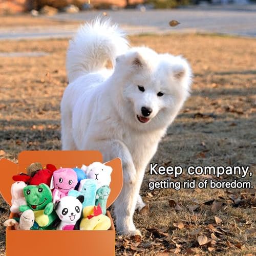 LEGEND SANDY Squeaky Plush Dog Toy Pack for Puppy, Small Puppy Chew Toys
