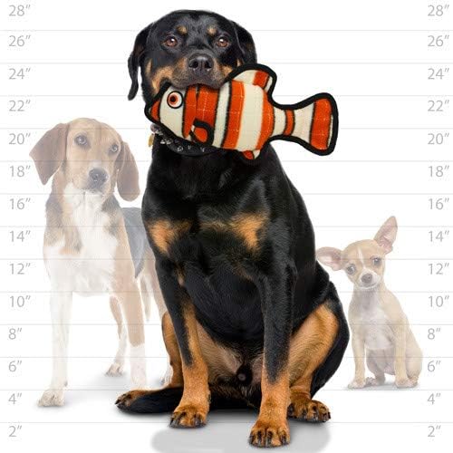 TUFFY® - 2 Pack Original : Fish Dog Toy : : Ultra Durable Plush Toy with Multiple Layers & Reinforced Seams, Washable and Floats, Original Construction