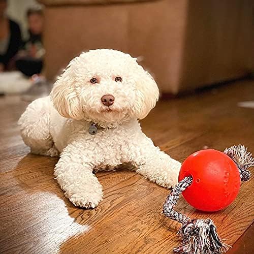 Jolly Pets Romp-N-Roll Rope & Ball Dog Toy, 4.5 in Small, Orange