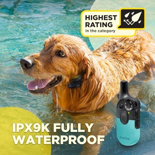 Dogtra 200iQ Remote Training E Collar – 100 Levels, Tone, Vibration, 1/2 Mile Range – Compact, Waterproof, One-Handed Control for Dogs 10 lbs+ – Lightweight Daily Training – Slip Resistant Teal
