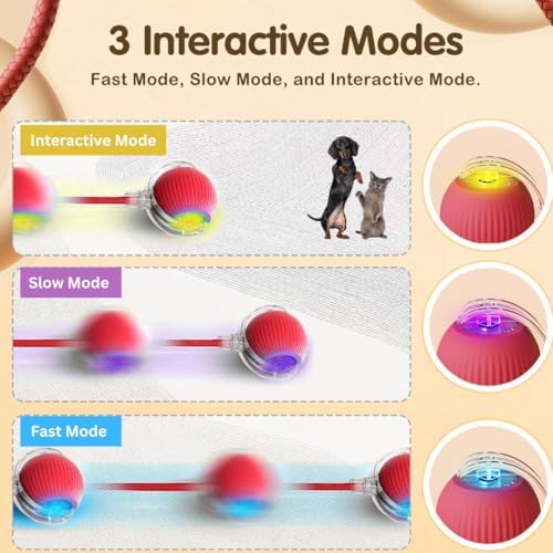 Interactive Electric Automatic Rolling Moving Rechargeable Self Play Stimulation Toy,Smart Pet Chase Ball with Speedy Tail Rope for Bored Indoor Cats enrichment,stimulating Dogs toy Small dogs (Red)