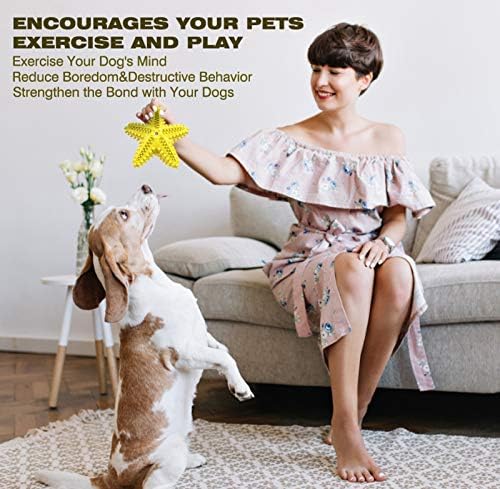 Squeaky Dog Toys - Starfish Natural Teeth Cleaning Toy for Small & Medium Dogs - Yellow