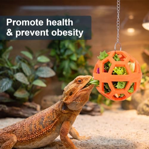 Bearded Dragon Enrichment Toys Feeder Ball, Veggie Feeder Ball & Exercise Balls Interactive Feed Toys, Greens Training Kit for Reptile Lizard Gecko, Reptile Tank Accessories