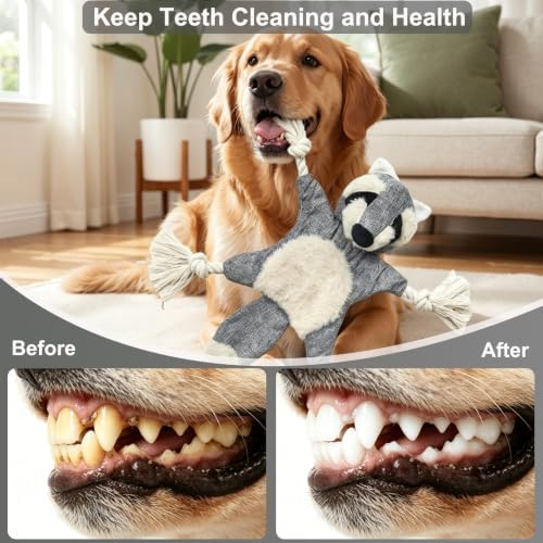 No Stuffing Crinkle Squeaky Dog Toy for Small Medium Puppies,（Raccoon）