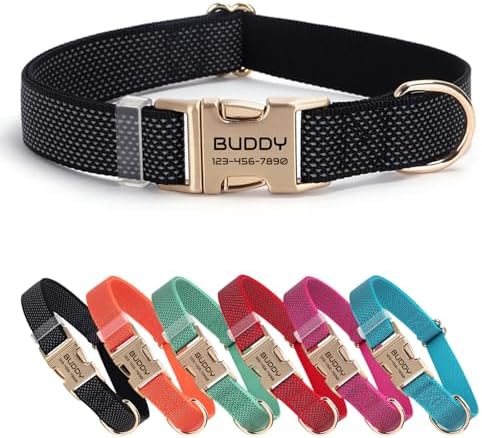 Personalized Reflective Nylon Dog Collar with Name, Black