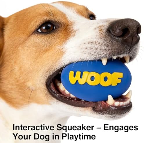 2-Pack Squeaky Rubber Football Dog Toys, Durable Chew & Teething Toy for Small & Medium Dogs, Interactive Fetch & Teeth Cleaning, WOOF Text (Purple, Small)