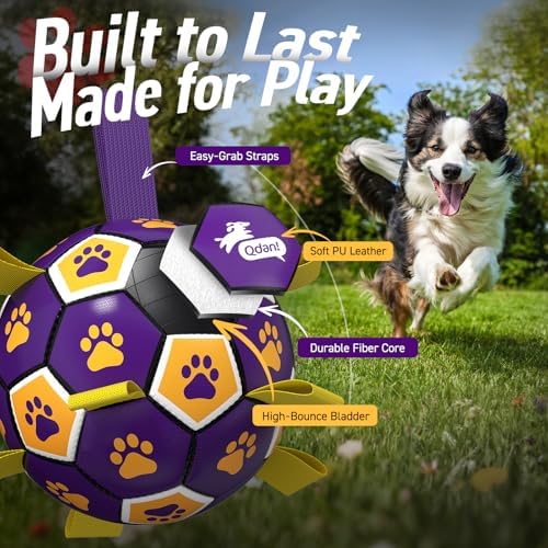 QDAN Dog Balls Toys, Soccer Ball with Straps, Herding Ball Toy, Puppy Toy | 6 Inch Puppy Water Pool Toy, Durable Balls for Dogs for 20-40 lbs Dog, Outdoor Herding Balls for Small Medium Dogs
