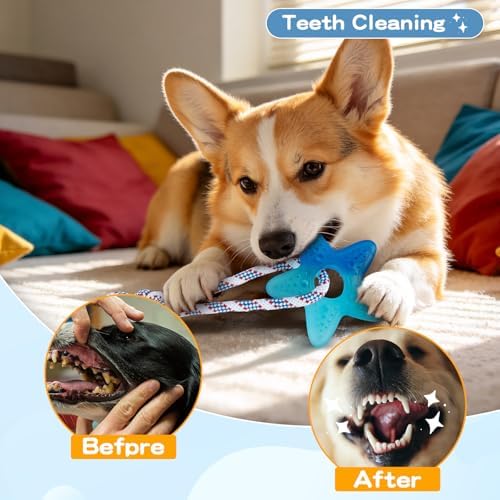 3 Pack Dog Chew Toys for Aggressive Chewers, Multiple Textures & Rope, ndestructible Tough Durable Interactive Dog Toys, Puppy Chew Toys for Teething， Blue Star&Bone&Small Circle