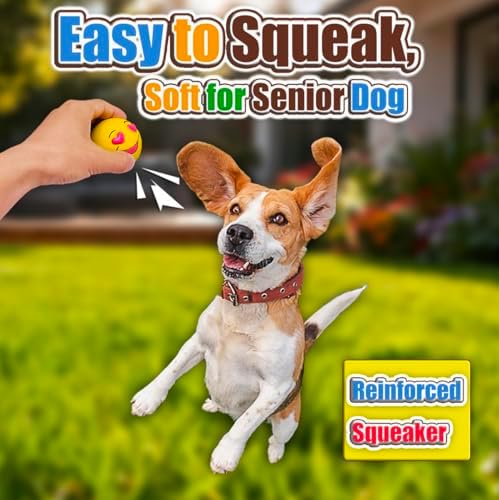 HOLYSTEED Latex Squeaky Dog Balls for Medium Breeds, 2.5" Round Squeak Toys
