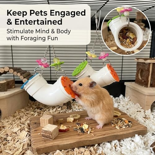 2 Pack Mouse Rat Enrichment Toys for Pet Mice -Treat Dispenser Rats Foraging Toy, Hanging Foraging Dispenser for Rats, Mice, Guinea Pig Small Pet