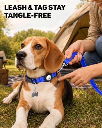 Padded Dog Collar with Waterproof Holder Compatible with Airtag