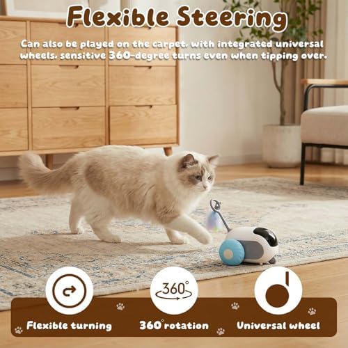 Interactive cat Toy, Rechargeable, Automatic Moving Kitten Toy(Blue)