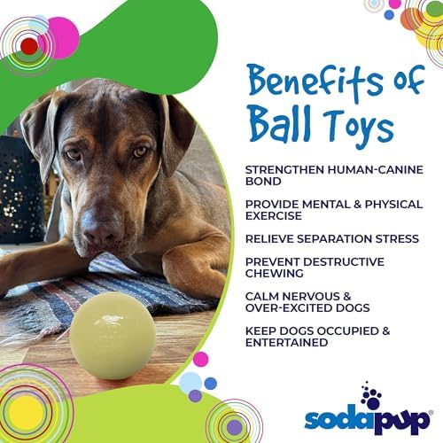 SodaPup Squeaker Ball – Durable Dog Ball Toy, Chew Toy & Floating Retrieving Toy with Squeaker Made in USA from Non-Toxic, Pet-Safe, Food Safe Rubber Material for Bonding, Physical Exercise, & More