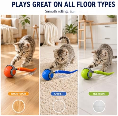 Interactive Cat Toy Ball for Indoor Cats (2 Pcs)