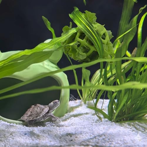 Turtle Feeder Ball, Foraging Toy for Tortoise Tank Accessories