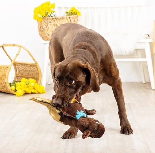 Fringe Studio Plush Dog Toy, Choc-A-Saurus Rex, Pet Shop Collection (314128)