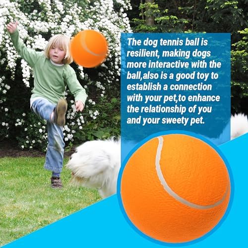 9.5" Large Dog Tennis Balls (2-Pack), Inflatable Toy with Pump