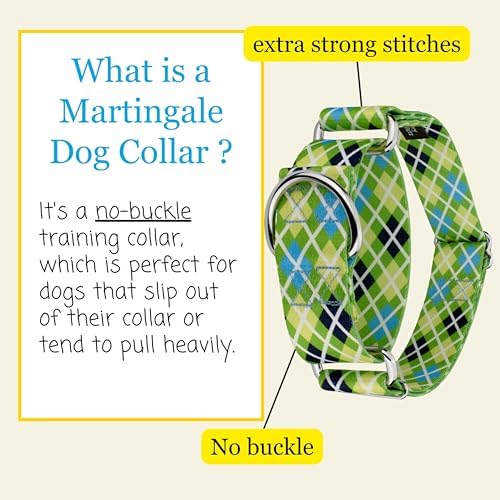 Country Brook Petz - HossFit Jr Wide Martingale Dog Collar - Plaid and Argyle Collection Featuring Charming Designs (Margarita Argyle, Medium)
