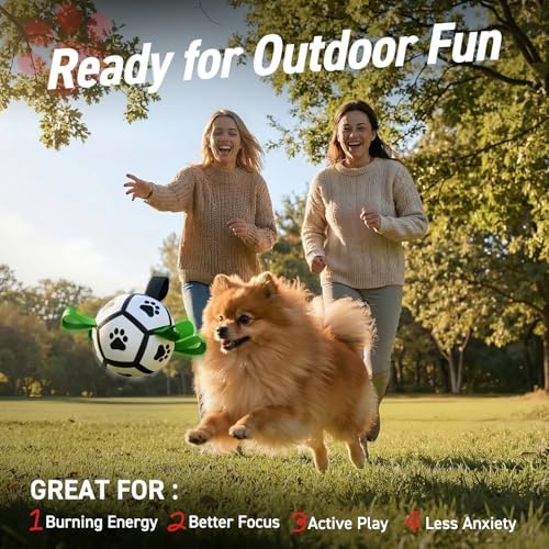 QDAN Small Dog Toys, Outdoor Soccer Ball with Straps, Puppy Birthday Gifts | Interactive Training Soccer Toys for Tug, Dog Water Toy, Durable Puppy Balls for 5-20 lbs Small Dogs, Puppy Birthday Gifts