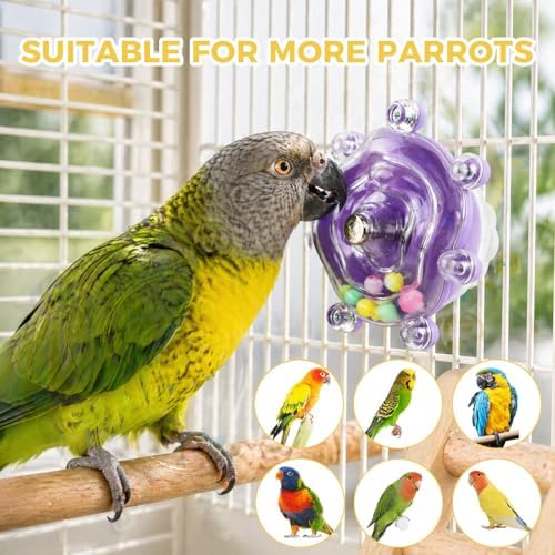 2 Pcs Spinning Bird Toys for Parakeets, Interactive Parrot Toys