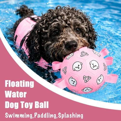 Dog Soccer Ball with Straps, 6 Inch Jolly Ball for Medium Dogs